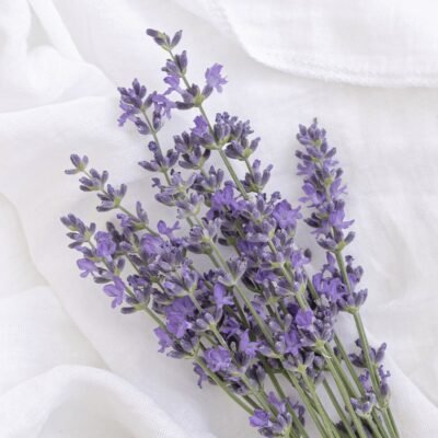 Almohada Aroma Lavanda - Imagen 2