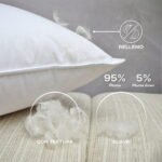 Set X 2 Almohada 5% down / 95% pluma